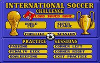 International Soccer Challenge screenshot, image №748793 - RAWG