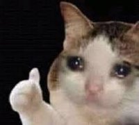 crying cat screenshot, image №2261608 - RAWG