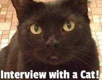 Interview with a Cat! screenshot, image №1895132 - RAWG