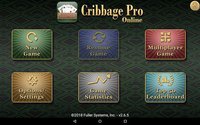 Cribbage Pro Online! screenshot, image №1351176 - RAWG