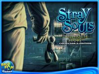 Stray Souls: Dollhouse Story - Collector's Edition HD screenshot, image №899484 - RAWG