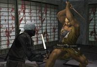 Tenchu: Shadow Assassins screenshot, image №247631 - RAWG