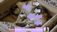 I Love Finding MORE Cats screenshot, image №3231800 - RAWG