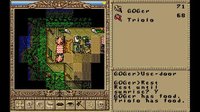 Worlds of Ultima: The Savage Empire screenshot, image №221175 - RAWG