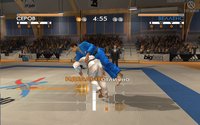 David Douillet Judo screenshot, image №444228 - RAWG