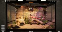 Digital Terrarium - Pogona Virtual Pet screenshot, image №2879532 - RAWG