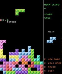 Wild Tetris screenshot, image №2283218 - RAWG