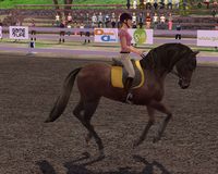 Ellen Whitaker's Horse Life screenshot, image №506744 - RAWG