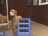 The Sims 2: Pets screenshot, image №457903 - RAWG