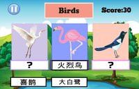 Animals Kingdom screenshot, image №2934098 - RAWG