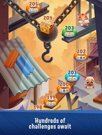 Pet Rescue Puzzle Saga screenshot, image №1882394 - RAWG