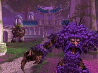 World of Warcraft screenshot, image №352049 - RAWG