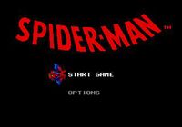 The Amazing Spider-Man vs. The Kingpin screenshot, image №739477 - RAWG