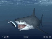 Talking Great White HD - for iPad screenshot, image №2060700 - RAWG