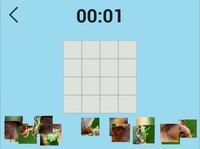 Ultimate Puzzles Animals screenshot, image №2928653 - RAWG