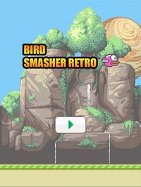 Bird smasher - super retro screenshot, image №1664516 - RAWG