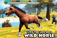 Wild Horse Simulator screenshot, image №2104642 - RAWG