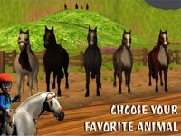 VR Crazy Horse Simulator screenshot, image №975022 - RAWG
