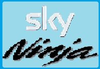 Sky Ninja screenshot, image №1172846 - RAWG