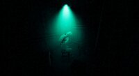 Sullen Day screenshot, image №2457723 - RAWG