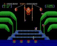 Donkey Kong 3 screenshot, image №822793 - RAWG