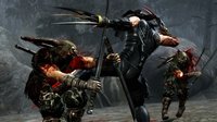 Ninja Gaiden 3 screenshot, image №564180 - RAWG