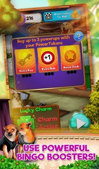 Bingo Pets Party: Dog Days screenshot, image №2084390 - RAWG