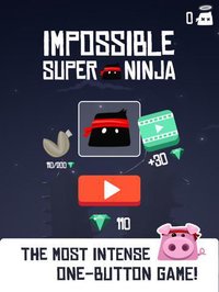 Impossible Super Ninja screenshot, image №2043534 - RAWG