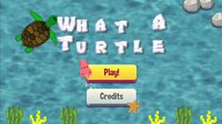 WHAT A TURTLE screenshot, image №3113828 - RAWG