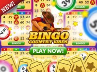 Bingo Country Vibes screenshot, image №1857897 - RAWG