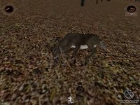 Deer Hunter 2003 screenshot, image №346800 - RAWG