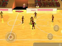 Cкриншот International Basketball Evolution 3D, изображение № 1713086 - RAWG