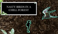 Nasty Birds in a Chill Forest screenshot, image №1766946 - RAWG