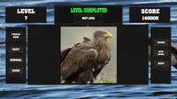 Fitzzle Majestic Eagles screenshot, image №846539 - RAWG