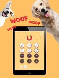 Dog sounds: Animal translator screenshot, image №2873575 - RAWG