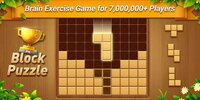 Wood Block Puzzle - Free Classic Block Puzzle Game screenshot, image №2574294 - RAWG