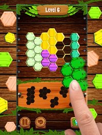 Hexa Wood Block Puzzle! screenshot, image №2036799 - RAWG