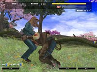 Dead or Alive Online screenshot, image №480195 - RAWG