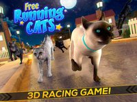 Running Cats - Survive The Free Kitty Cat Simulator screenshot, image №1762185 - RAWG