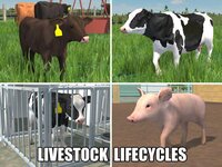American Farming screenshot, image №4040822 - RAWG