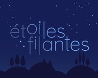 Etoiles filantes screenshot, image №2291429 - RAWG