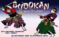 Budokan: The Martial Spirit (1991) screenshot, image №747727 - RAWG