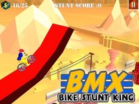 BMX Bike Stunt Race screenshot, image №2099291 - RAWG