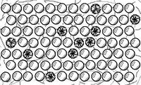 BubbleWrap+ screenshot, image №3756757 - RAWG