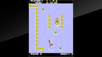 Arcade Archives WATER SKI screenshot, image №2141073 - RAWG