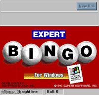 Expert Bingo screenshot, image №335884 - RAWG
