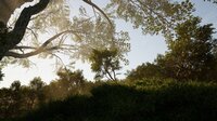 Calming Forest screenshot, image №4178580 - RAWG