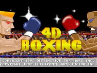 4D Sports Boxing screenshot, image №743518 - RAWG