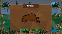 CapyChaos (BirdyGames) screenshot, image №3491942 - RAWG