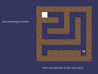 Only One Maze screenshot, image №2116531 - RAWG